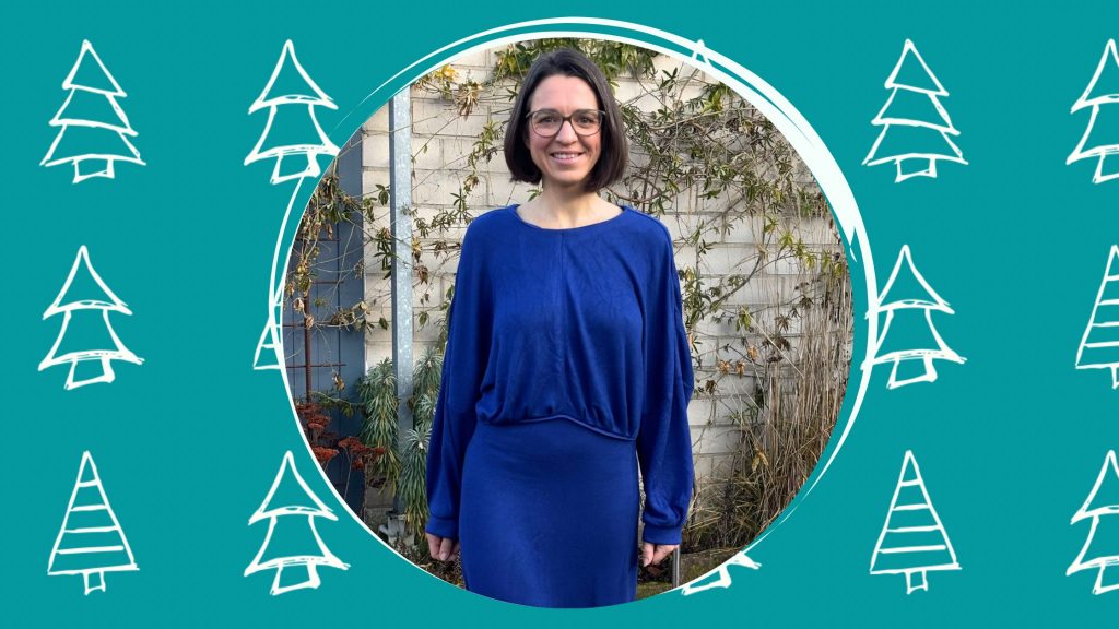 Titelbild Weihnachtskleid 2025